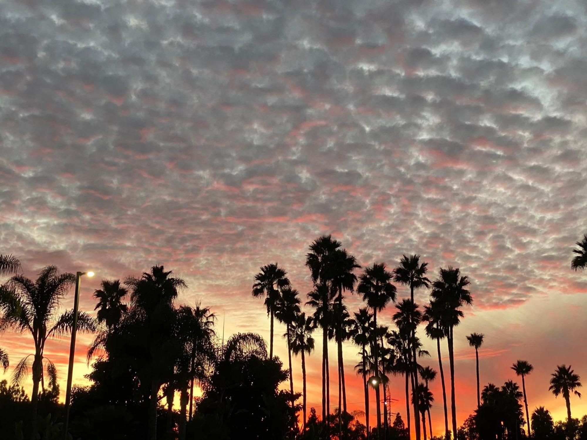 Holiday Inn Express Hotel & Suites Carlsbad Beach By Ihg Exteriör bild